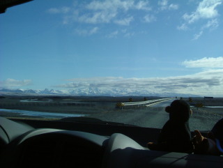 Photo /users/aendr/whiterabbit/746