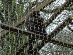 Photo /users/aendr/whiterabbit/75