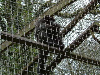 Photo /users/aendr/whiterabbit/75