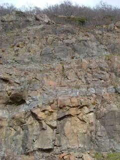 Photo /users/aendr/whiterabbit/755