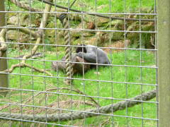 Photo /users/aendr/whiterabbit/76