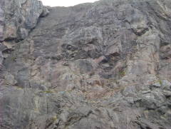 Photo /users/aendr/whiterabbit/760