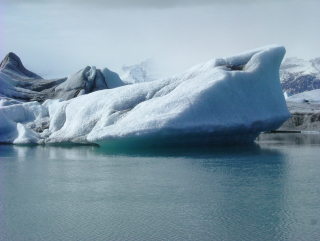 Photo /users/aendr/whiterabbit/765