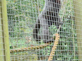 Photo /users/aendr/whiterabbit/77