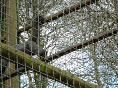 Photo /users/aendr/whiterabbit/78