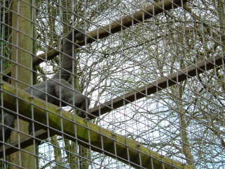 Photo /users/aendr/whiterabbit/78