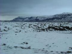 Photo /users/aendr/whiterabbit/787