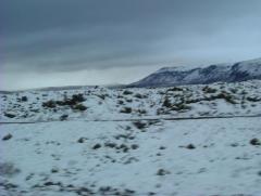 Photo /users/aendr/whiterabbit/788