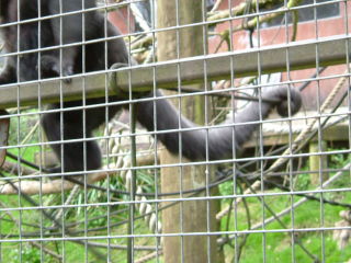 Photo /users/aendr/whiterabbit/79