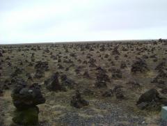 Photo /users/aendr/whiterabbit/790