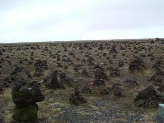 Photo /users/aendr/whiterabbit/790