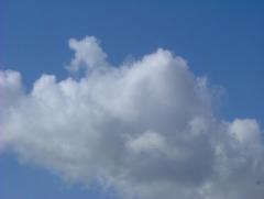 Photo /users/aendr/whiterabbit/8