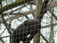 Photo /users/aendr/whiterabbit/80