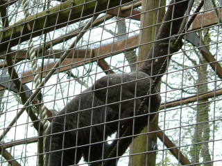 Photo /users/aendr/whiterabbit/80