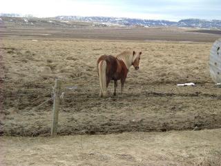 Photo /users/aendr/whiterabbit/804