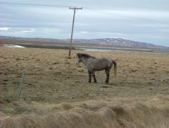 Photo /users/aendr/whiterabbit/806