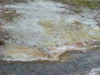 Photo /users/aendr/whiterabbit/812