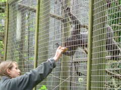 Photo /users/aendr/whiterabbit/82