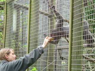 Photo /users/aendr/whiterabbit/82