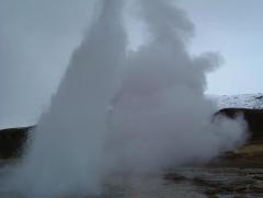 Photo /users/aendr/whiterabbit/827