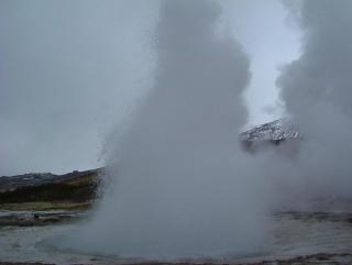 Photo /users/aendr/whiterabbit/828