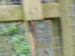 Photo /users/aendr/whiterabbit/83