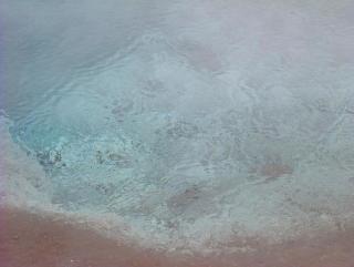 Photo /users/aendr/whiterabbit/831