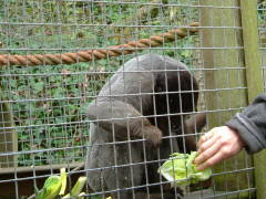 Photo /users/aendr/whiterabbit/84