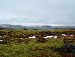 Photo /users/aendr/whiterabbit/847