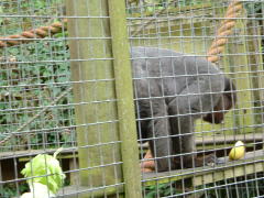 Photo /users/aendr/whiterabbit/85