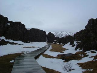 Photo /users/aendr/whiterabbit/854