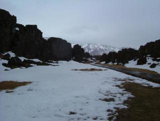 Photo /users/aendr/whiterabbit/855