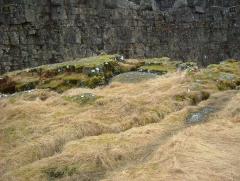 Photo /users/aendr/whiterabbit/861