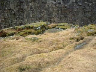 Photo /users/aendr/whiterabbit/861