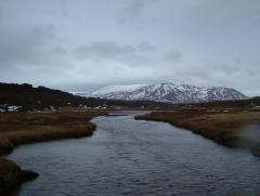 Photo /users/aendr/whiterabbit/864