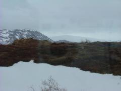 Photo /users/aendr/whiterabbit/865