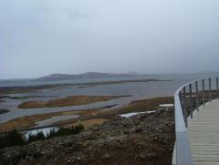 Photo /users/aendr/whiterabbit/867