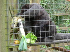 Photo /users/aendr/whiterabbit/87