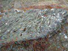 Photo /users/aendr/whiterabbit/875