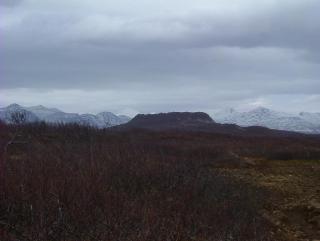 Photo /users/aendr/whiterabbit/880