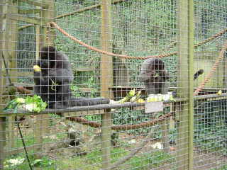 Photo /users/aendr/whiterabbit/89