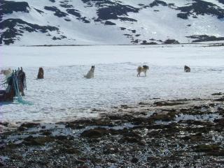 Photo /users/aendr/whiterabbit/896