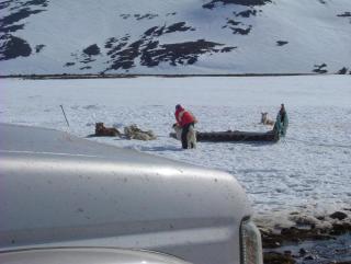 Photo /users/aendr/whiterabbit/897