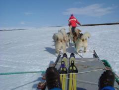 Photo /users/aendr/whiterabbit/899