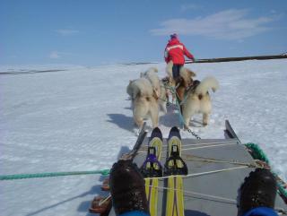 Photo /users/aendr/whiterabbit/899