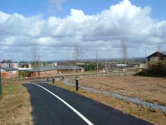 Photo /users/aendr/whiterabbit/9