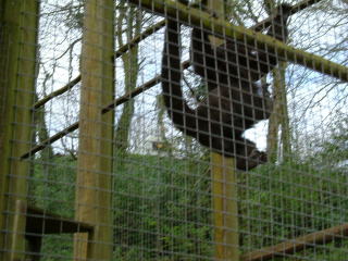 Photo /users/aendr/whiterabbit/90