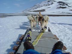 Photo /users/aendr/whiterabbit/900