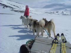 Photo /users/aendr/whiterabbit/902