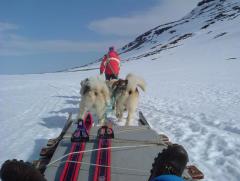 Photo /users/aendr/whiterabbit/903